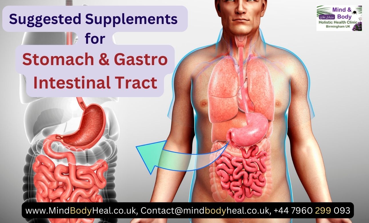 Suggested supplements for stomach and digestive health