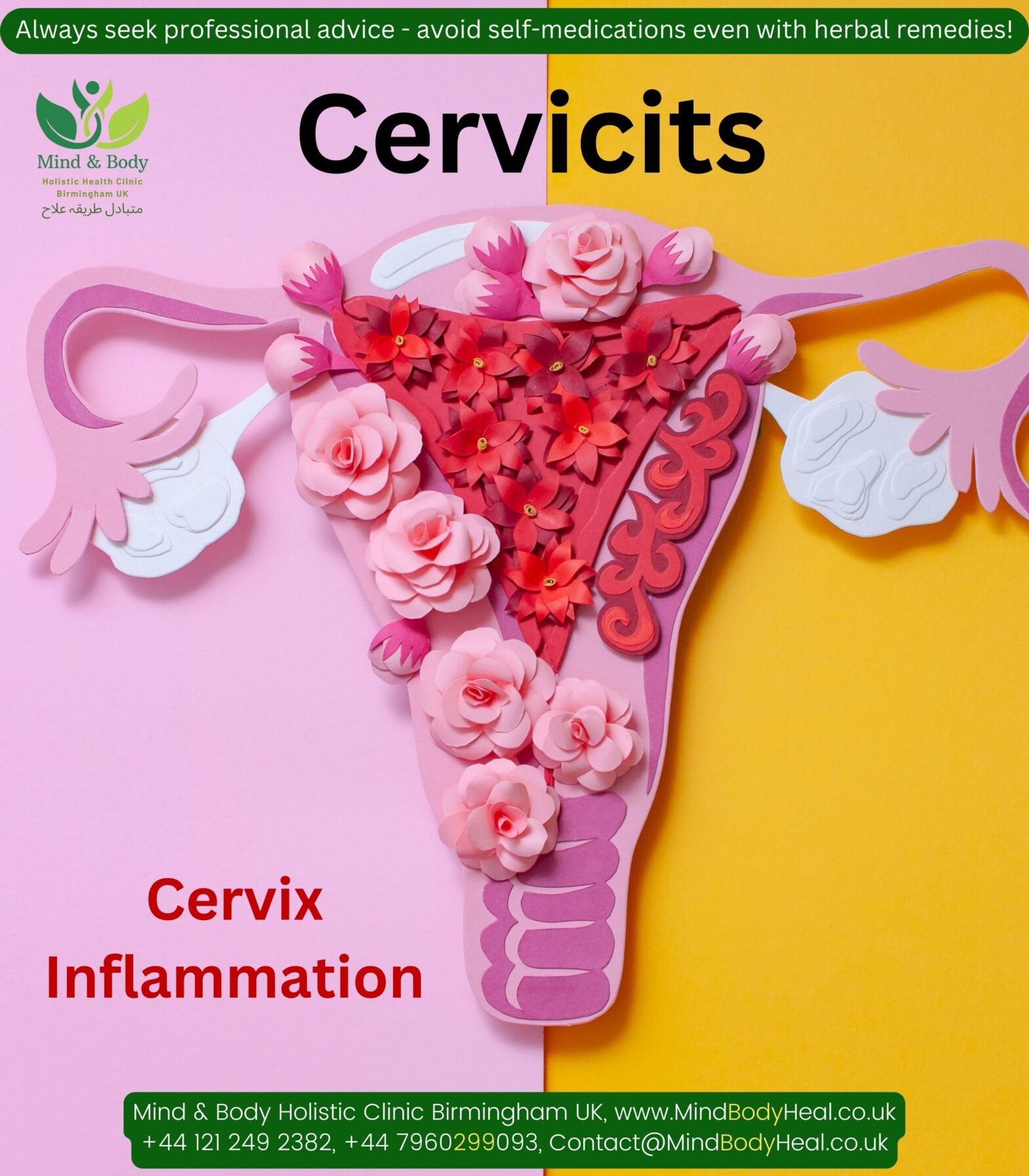 Cervicitis – cervix inflammation – Suggested complimentary remedies ...